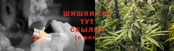 молекула духа Володарск