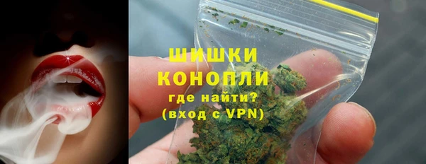 СК Волосово
