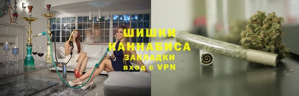 СК Волосово