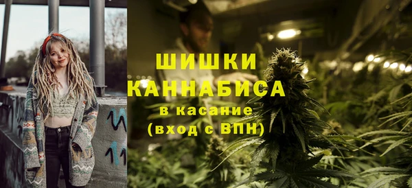 прущая мука Вяземский