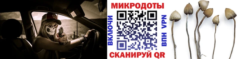 где можно купить наркотик  blacksprut зеркало  Галлюциногенные грибы Psilocybine cubensis  Дятьково 